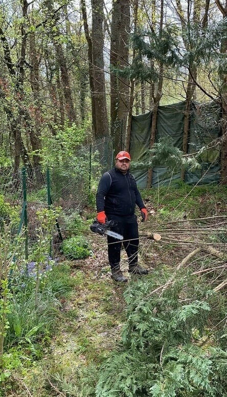 Travaux paysagers & forestiers à Pechbonnieu